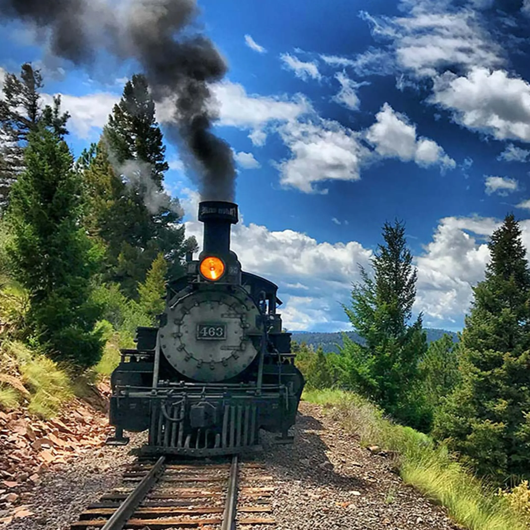 steam train in scenic outdoor setting