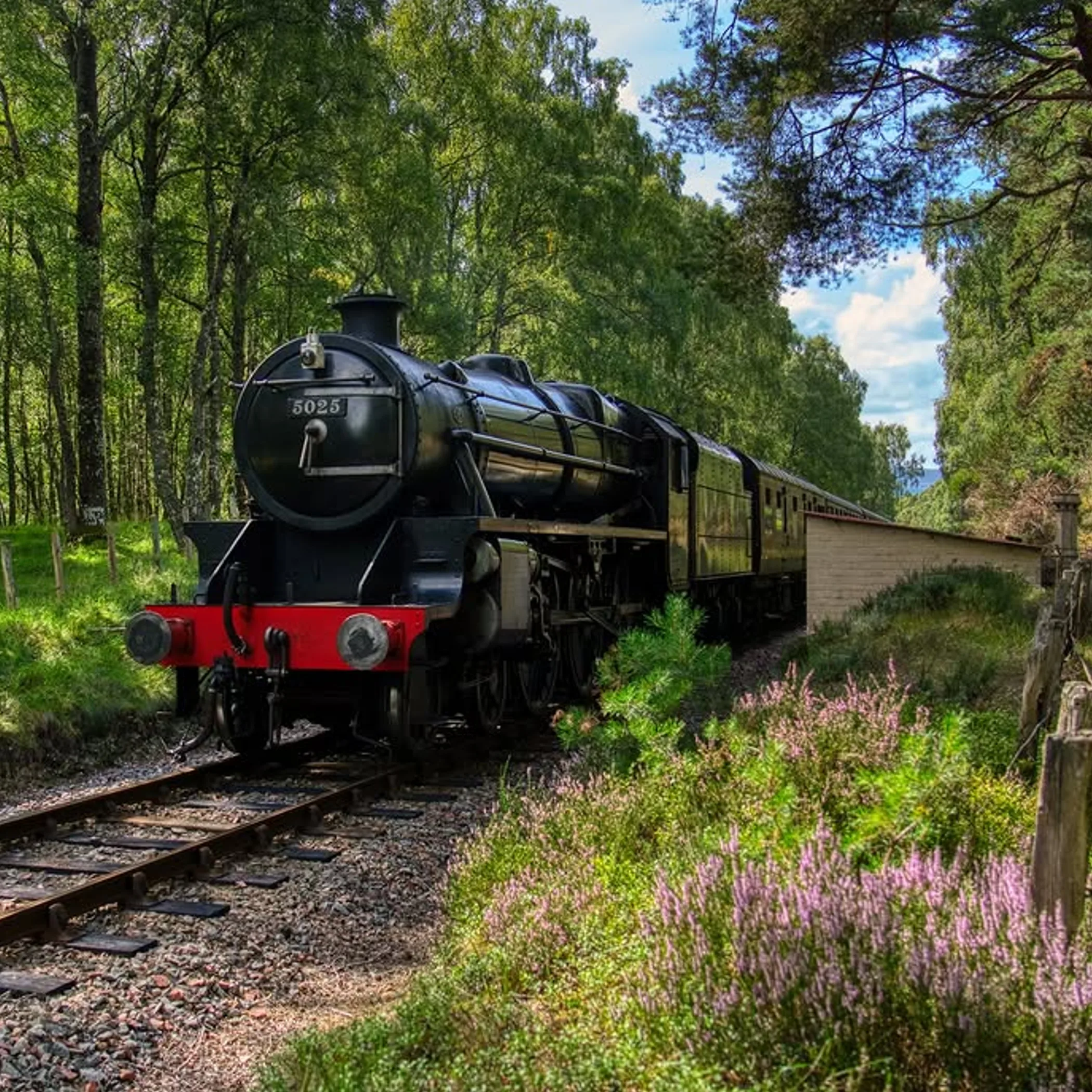 heritage steam railway