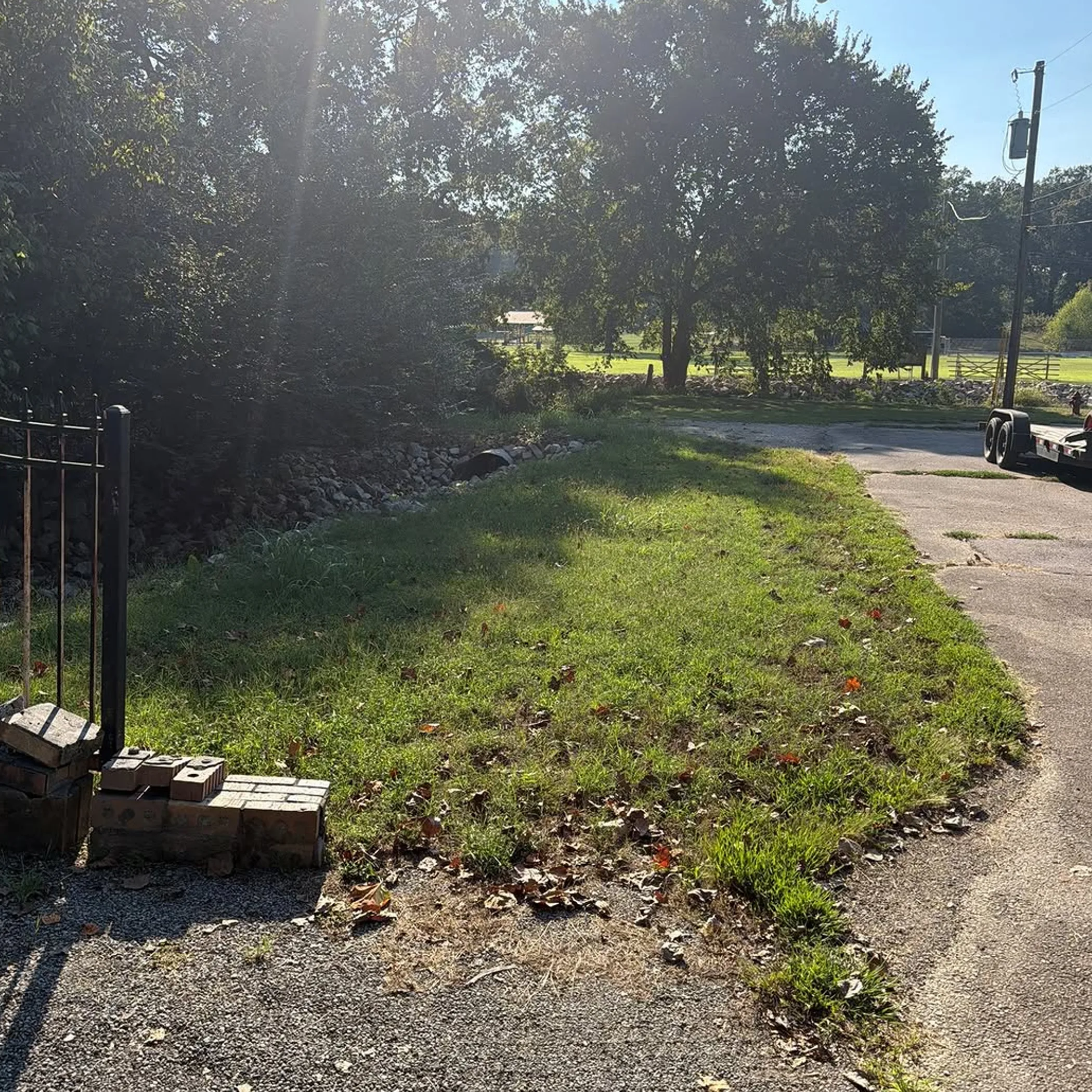 outdoor lawn-care scene