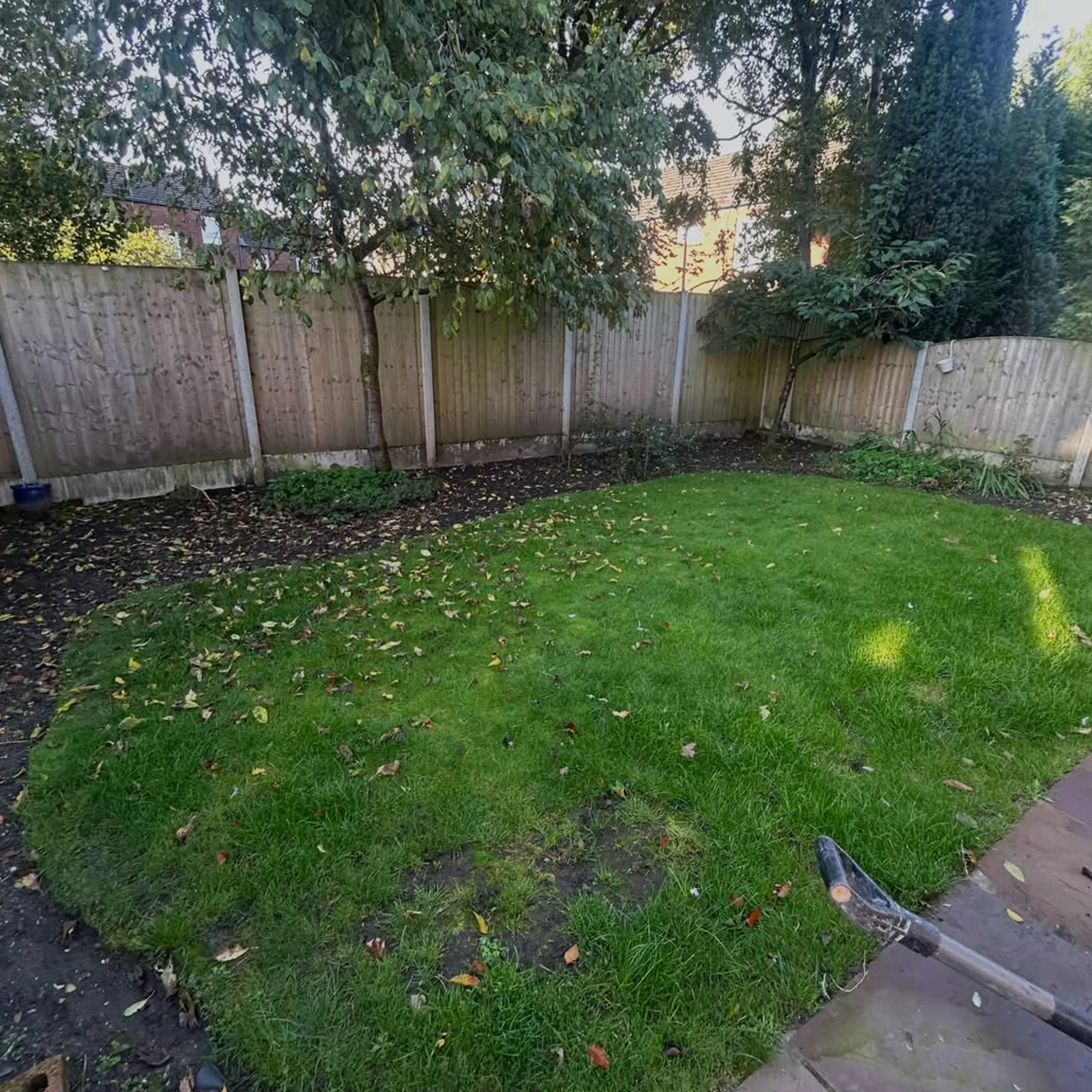 residential lawn with gardening tools