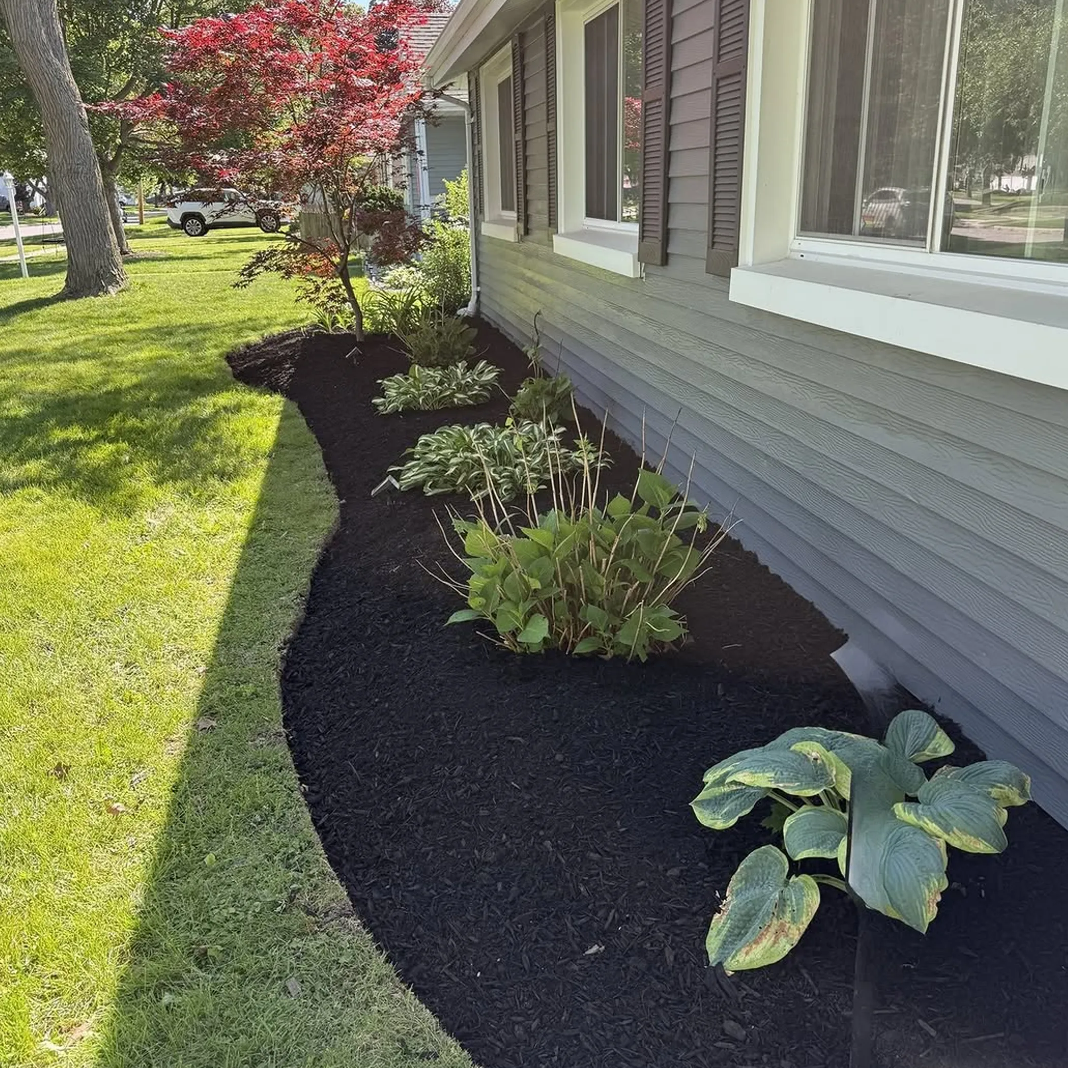 lawn edging, mulch, and healthy plantings