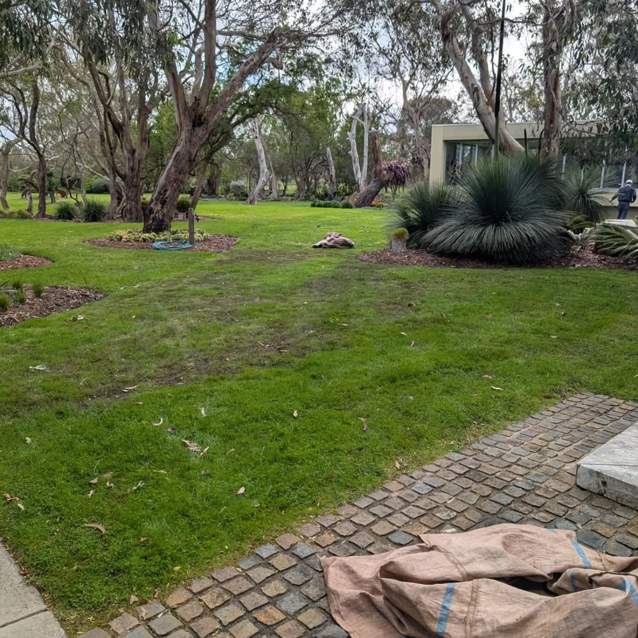 maintained lawn and garden
