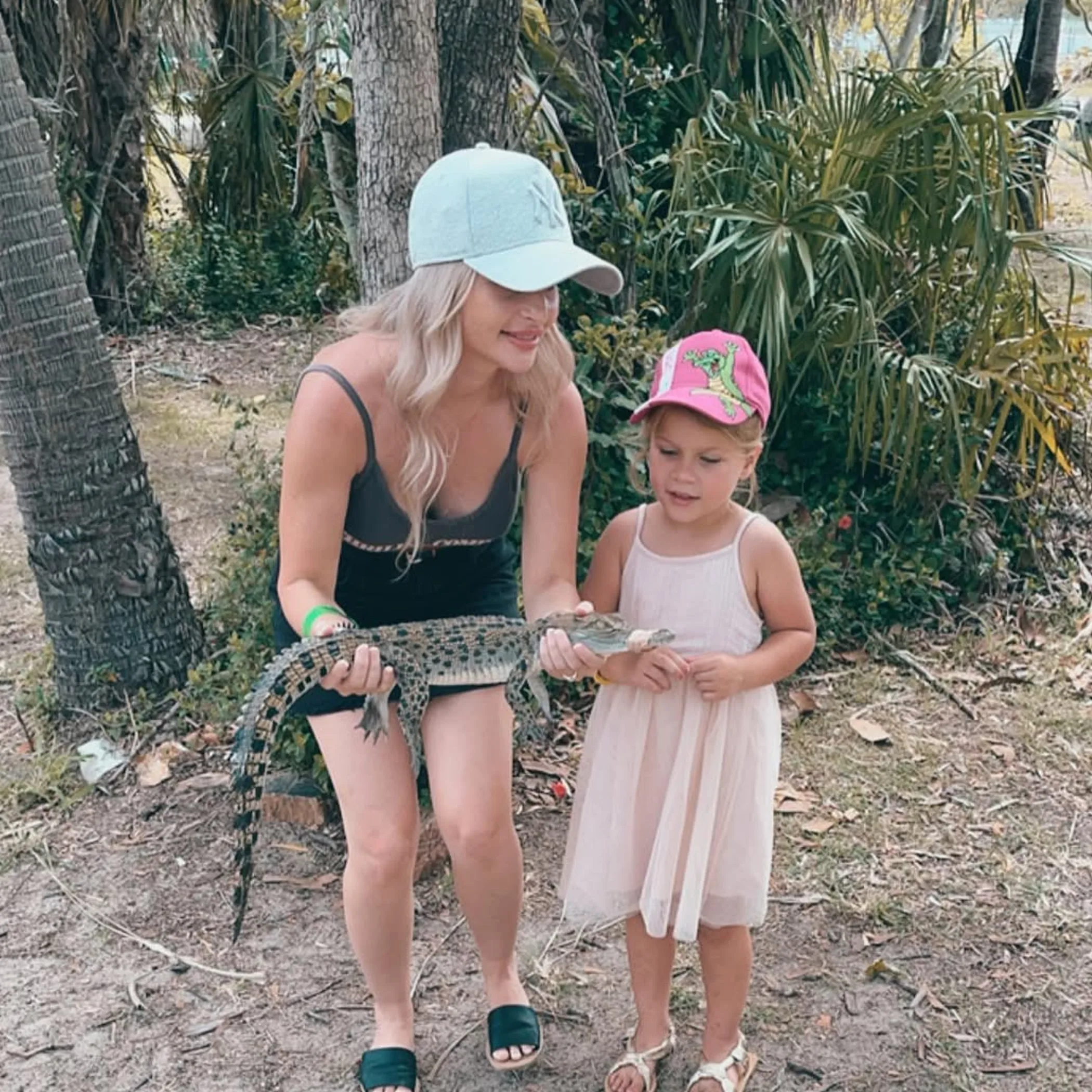 crocodile handling at a farm